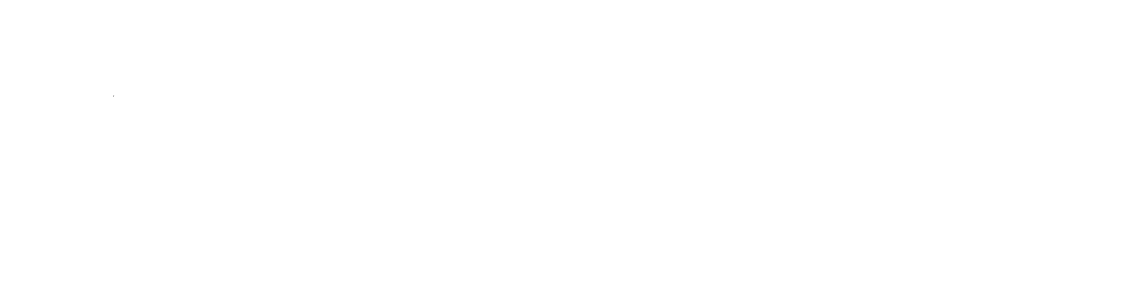 APS Payment Services
